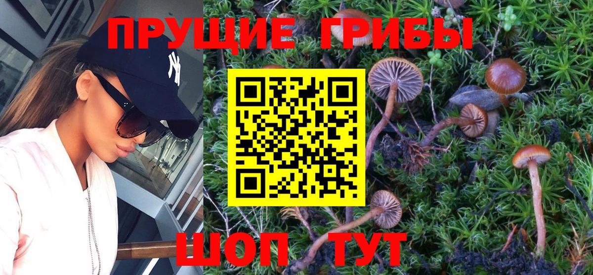 Галлюциногенные грибы MAGIC MUSHROOMS  Вход с VPN  Чапаевск 