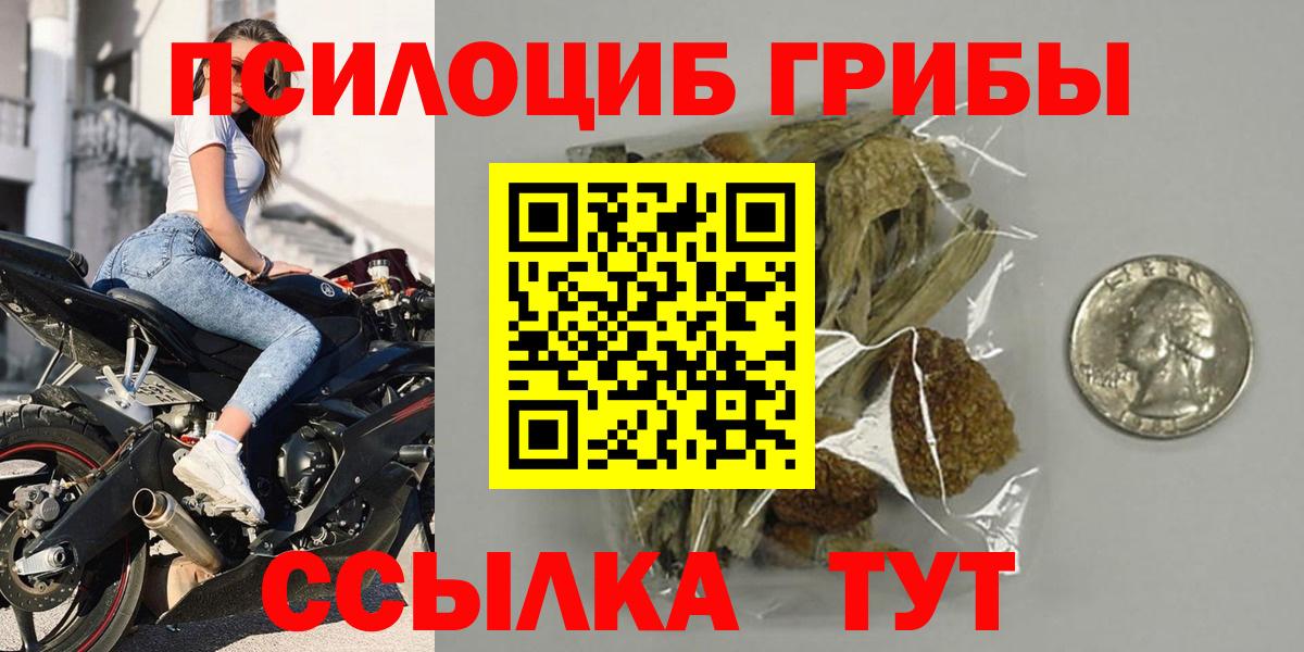 Галлюциногенные грибы Psilocybine cubensis Чапаевск